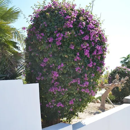 Apartament Coral Bay Village Peyia